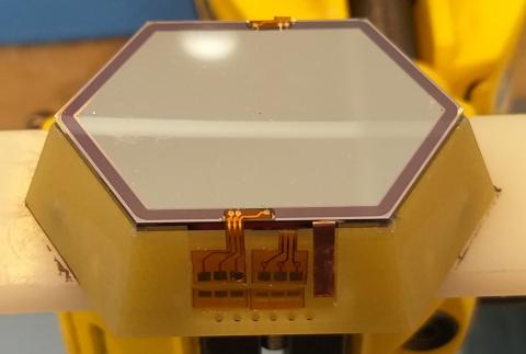 Custom Silicon detector for nuclear phisics experiment