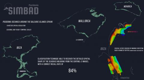Cartography of Coastal Marine Ecosystem