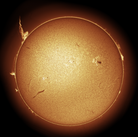 The Sun as observed by the SWE H-alpha telescope
