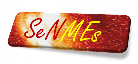 SWE group is providing the Spanish Space Weather Service at www.senmes.es